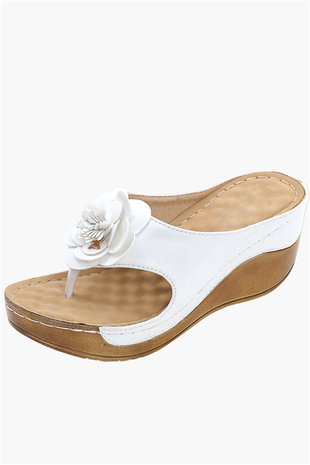 Shop for Wegdes Online Boardwalk PH Online Boardwalk PH Online
